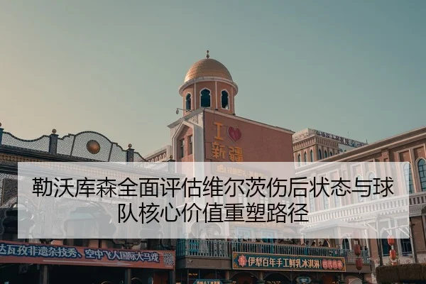 勒沃库森全面评估维尔茨伤后状态与球队核心价值重塑路径